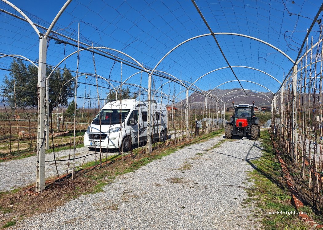 Mrizi i Zanave Agroturizëm — foto 3