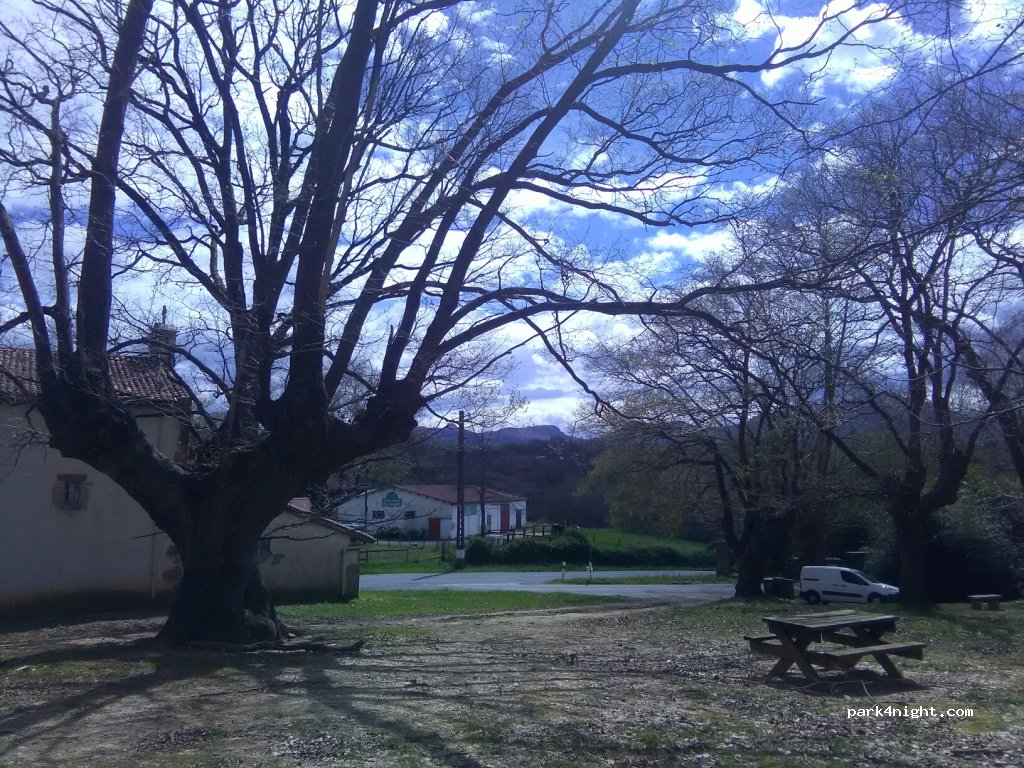 (64310) Sare - D4 — foto