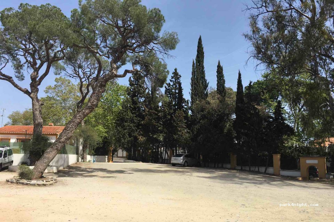 (29601) Marbella - 31 Avenida Cánovas del Castillo — foto 3