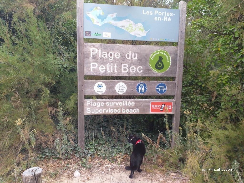 (17880) Les Portes-en-Ré - 9 Route du Petit Bec — foto 2