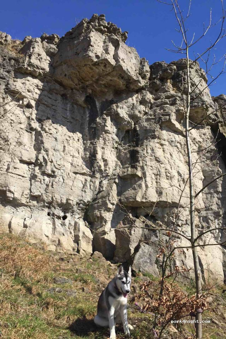 (31020) Salzhemmendorf - Limberger Weg — foto 2