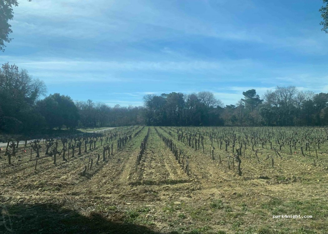 (84500) Bollène - Unnamed Road — foto 4