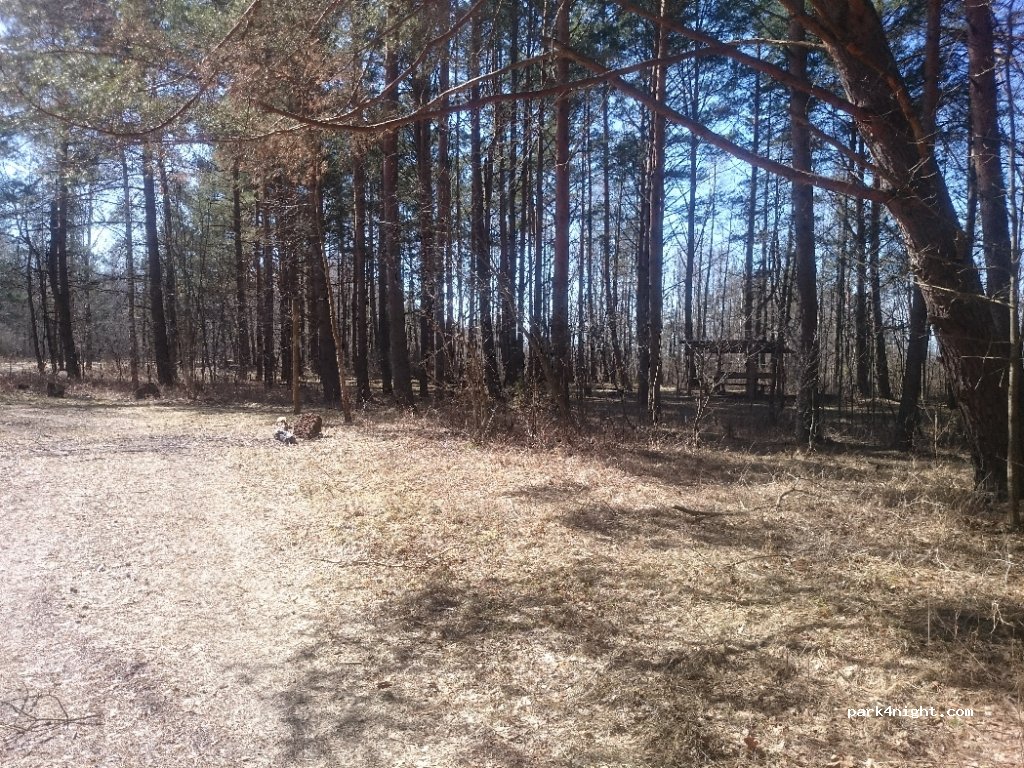 () Kirkol'ye - Unnamed Road — foto