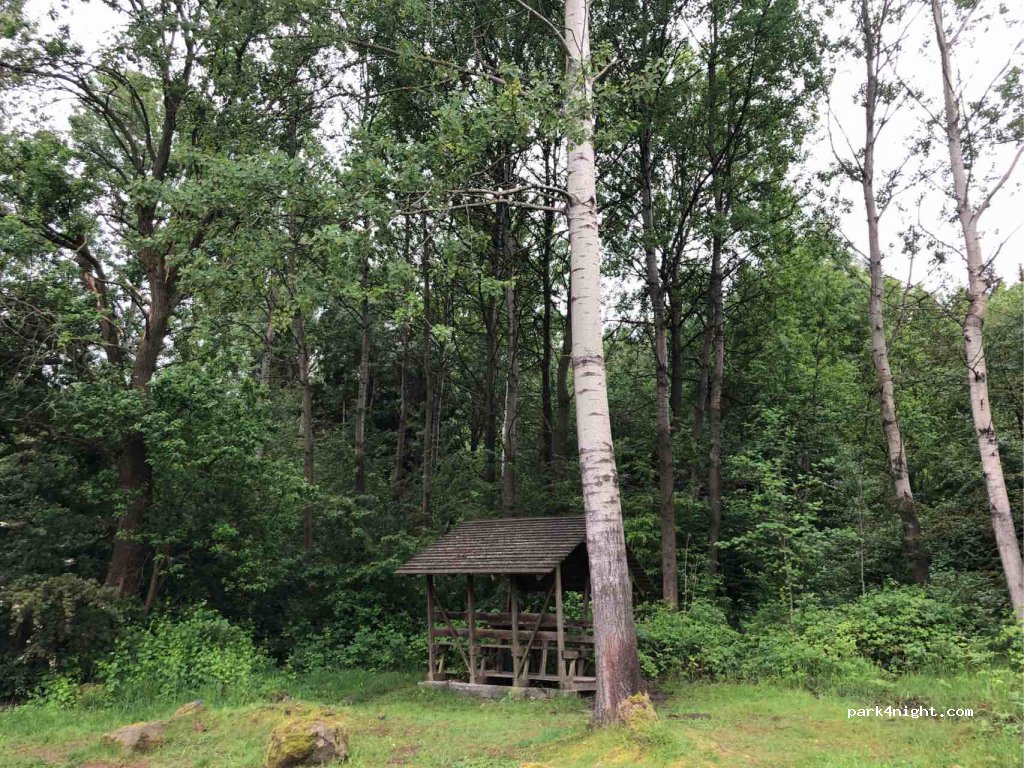(01824) Gohrisch - Forstmühlenstraße — foto 2