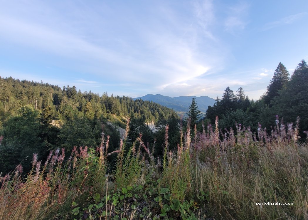 (6074) Giswil - 6 Mörlialp — foto 4