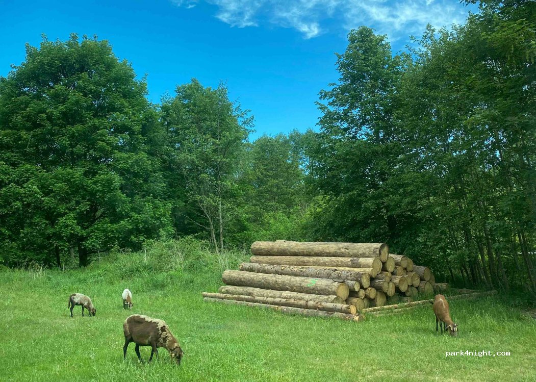 (07646) Trockenborn-Wolfersdorf - Unnamed Road — foto 3