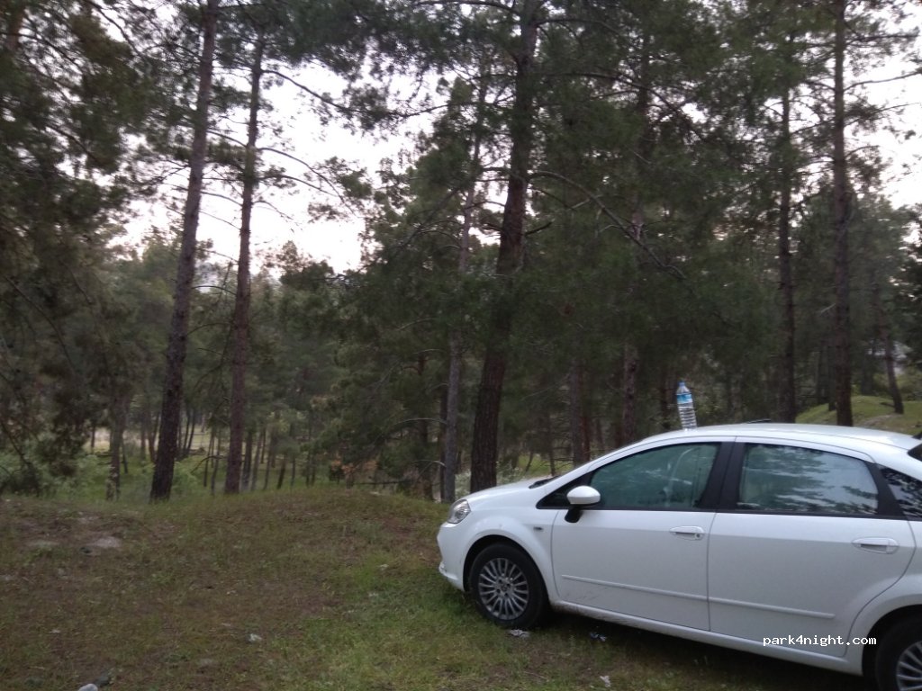 (45320) Salihli - Salihli Simav Yolu — foto 3
