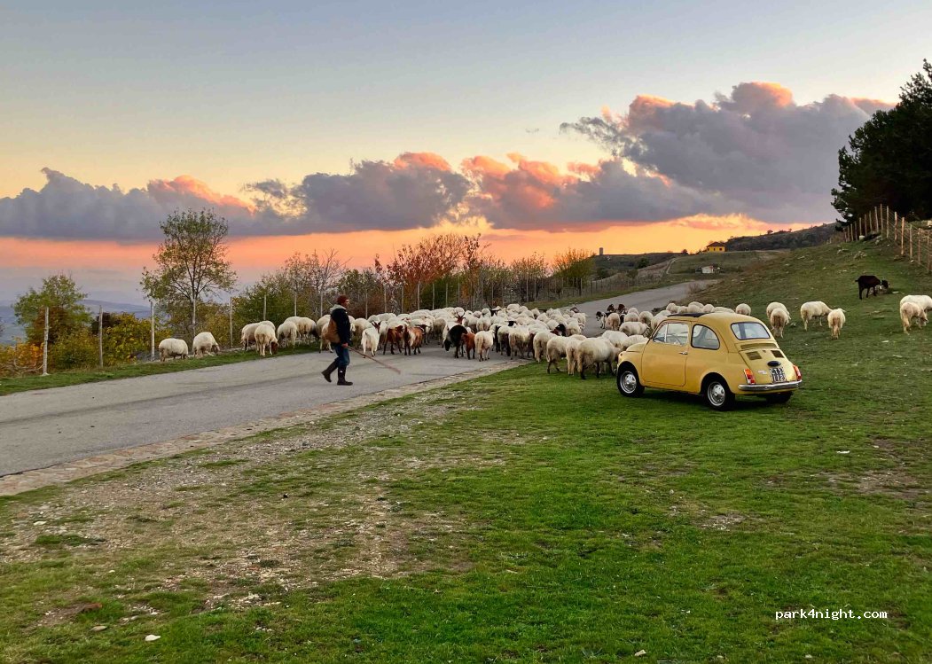 (90026) Petralia Soprana - Castellaro — foto 4