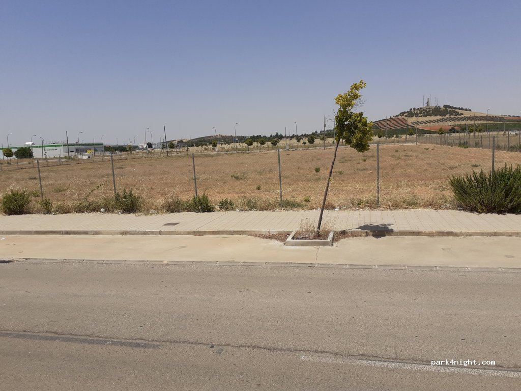 (13300) Valdepeñas - 388 Calle Viña Lola — foto 4