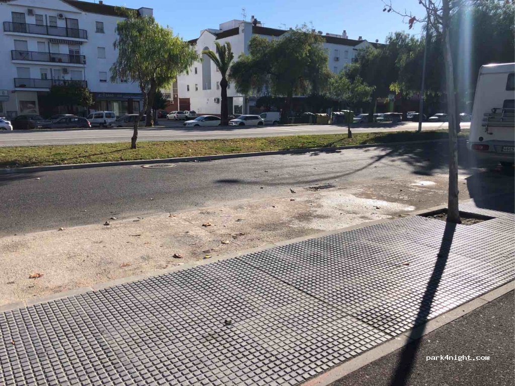 (41720) Los Palacios y Villafranca - 111 Avenida de Sevilla — foto 4