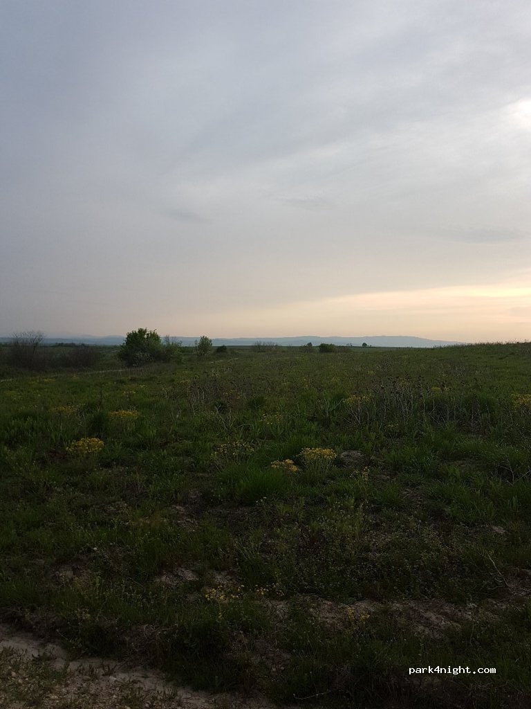 (680 07) Palli - Unnamed Road — foto 2