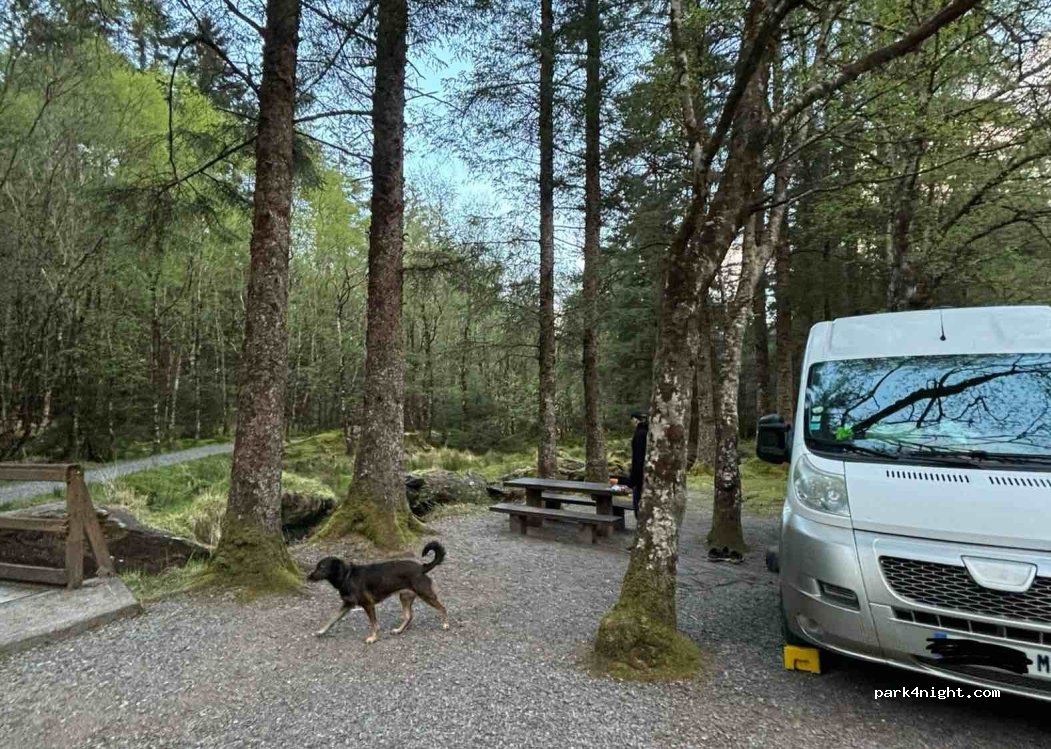 () Coomroe - Gougane Barra National Forest Park — foto 4