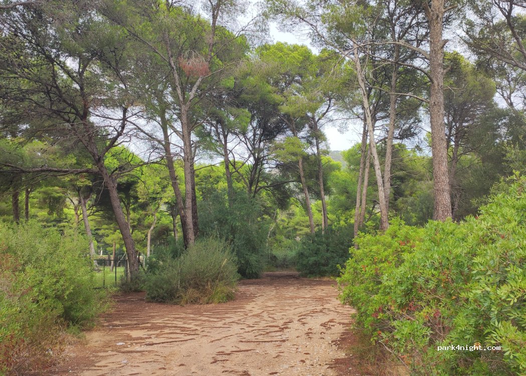 (07559) Son Servera - 10 Carrer de l'Ermita — foto 2