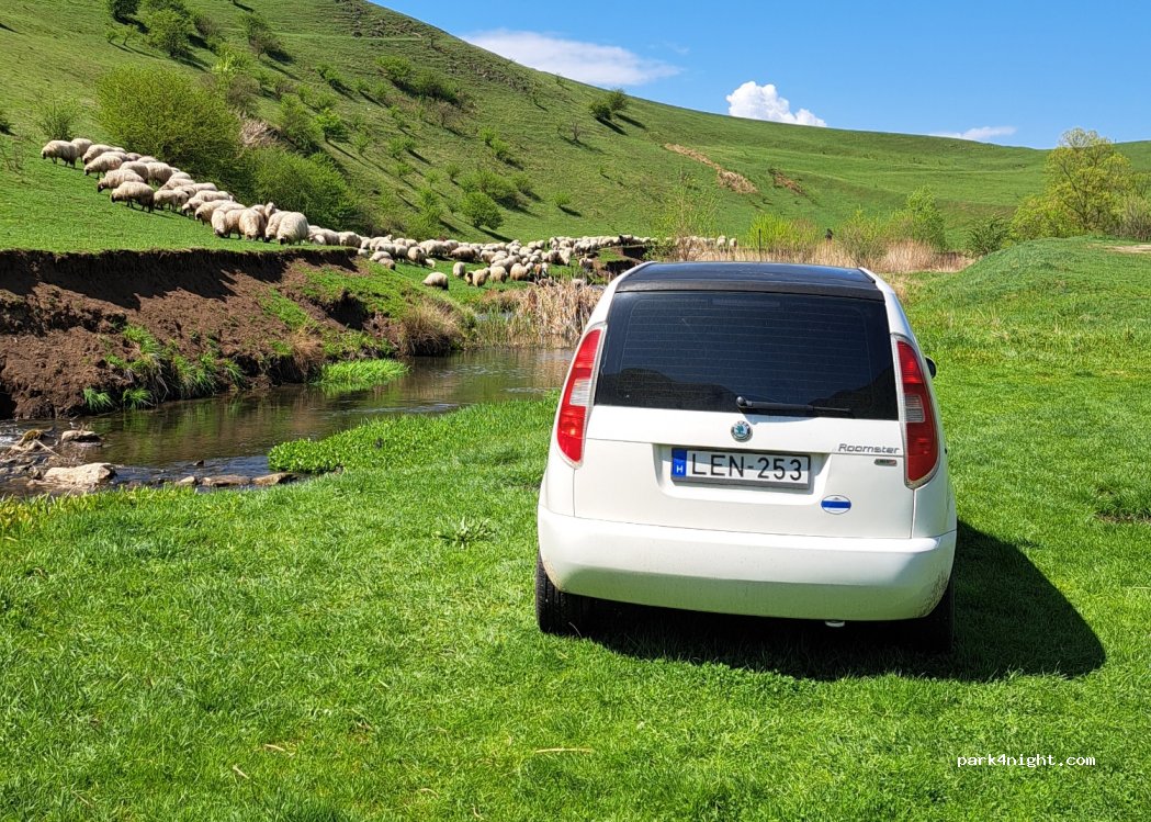 () Petreștii de Jos - Unnamed Road — foto 5