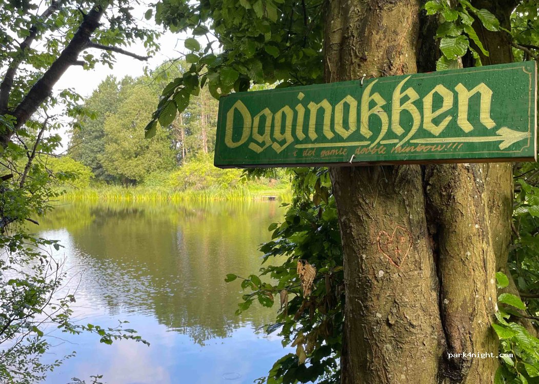 (5492) Vissenbjerg - 4 Lergyden — foto 3