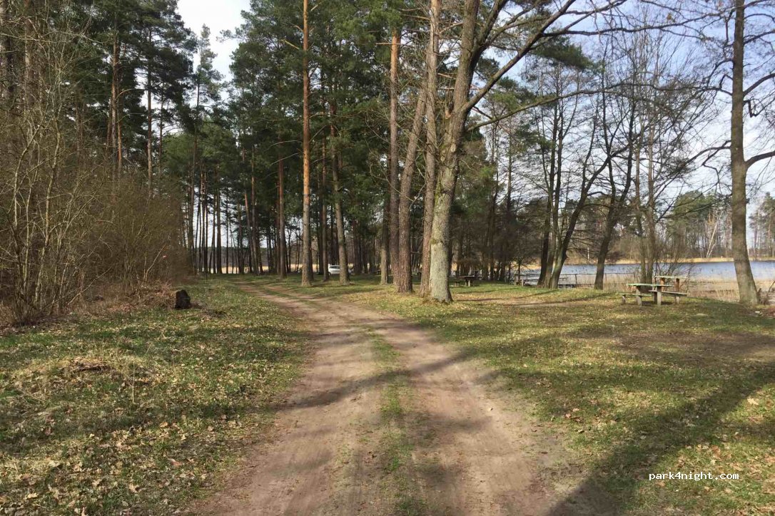 () Rzęśniki - Unnamed Road — foto 2
