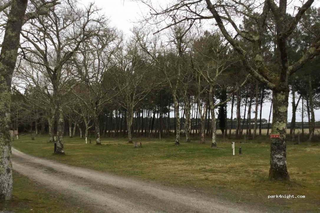 Camping Landes le Laha — foto 3