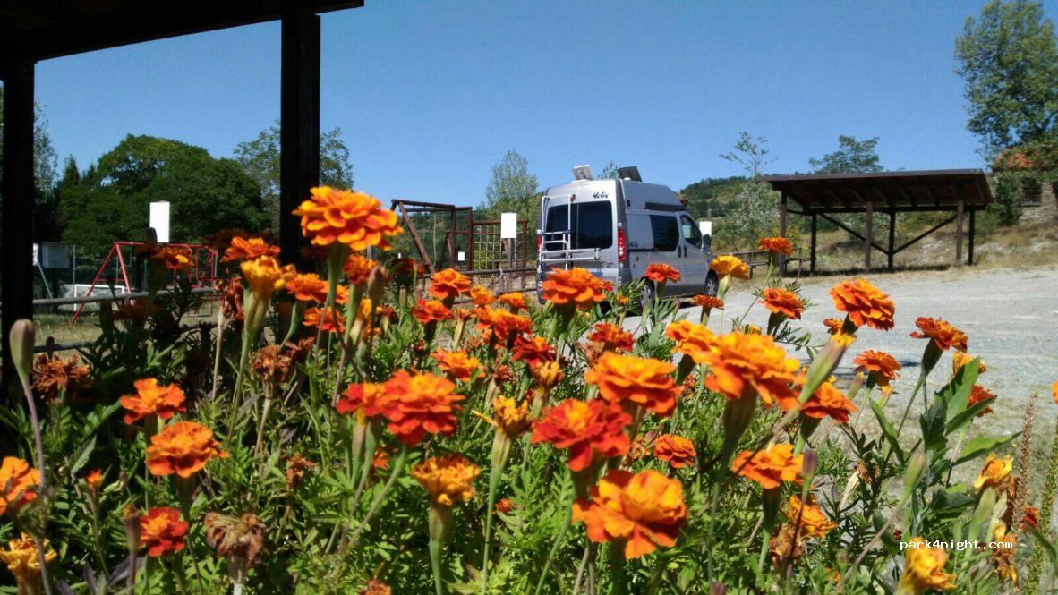 (14050) Olmo Gentile - Strada Provinciale 24b — foto