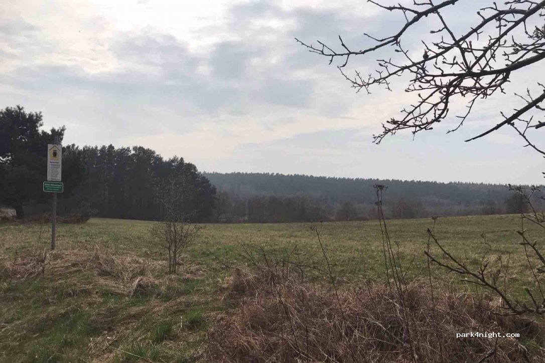 (17237) Klein Vielen - 12 Liepen — foto 2