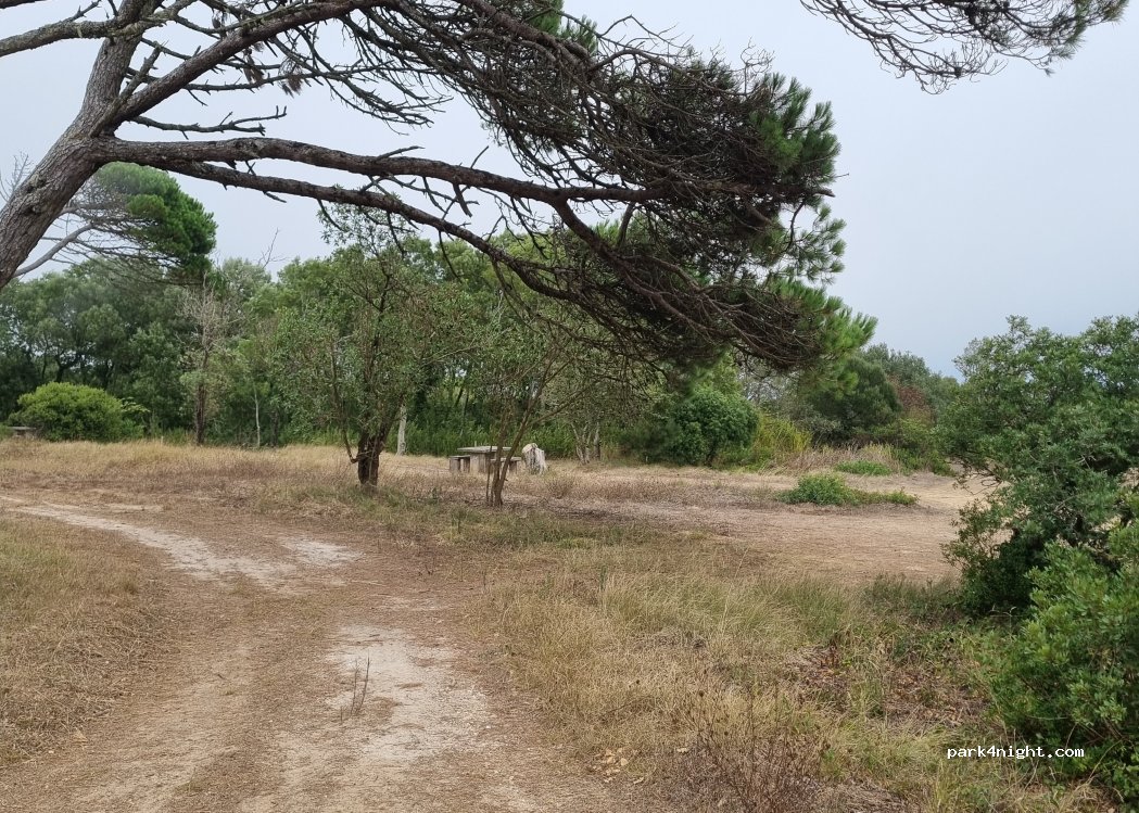(3080) Quiaios - Unnamed Road — foto 5
