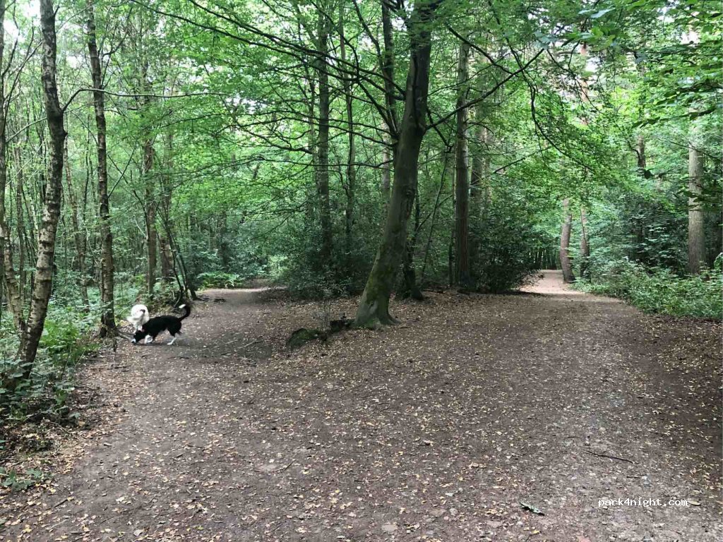 (RH8) Oxted - Moorhouse Road — foto 4