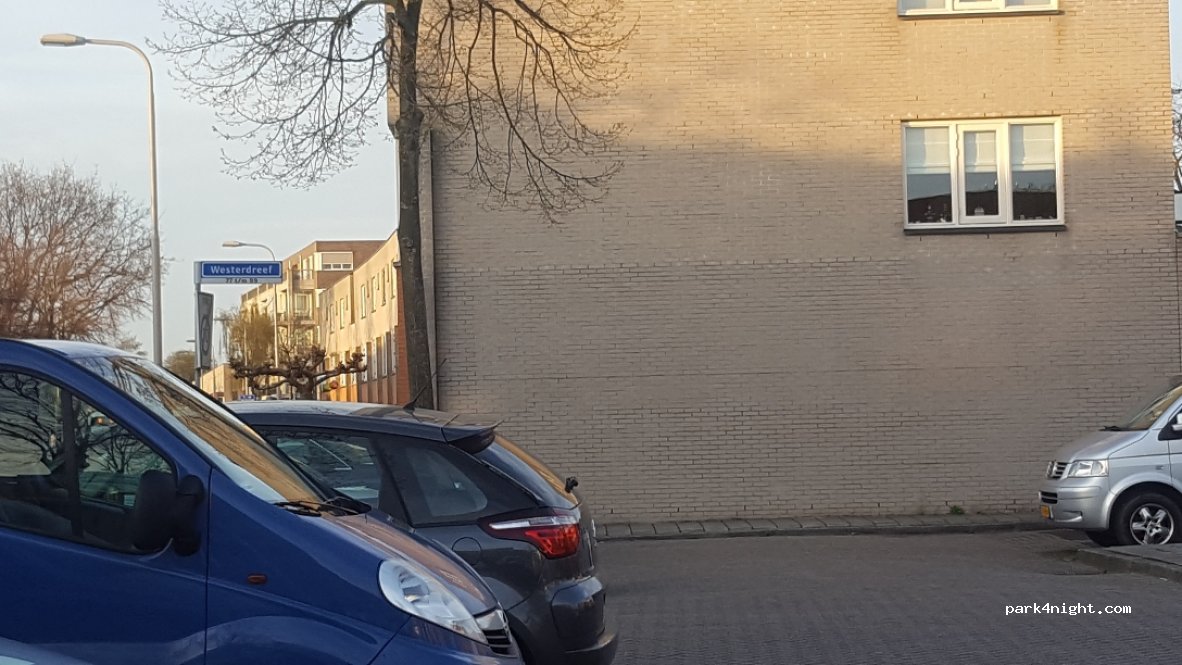 (2161) Lisse - 105 Westerdreef — foto 2