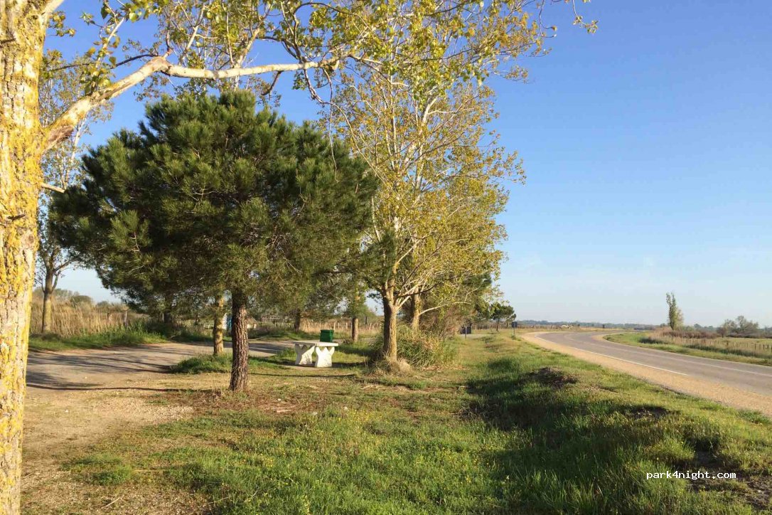 (13460) Saintes-Maries-de-la-Mer - D570 — foto 3