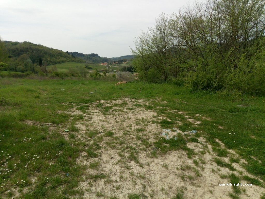 (56037) Palaia - SP11 — foto