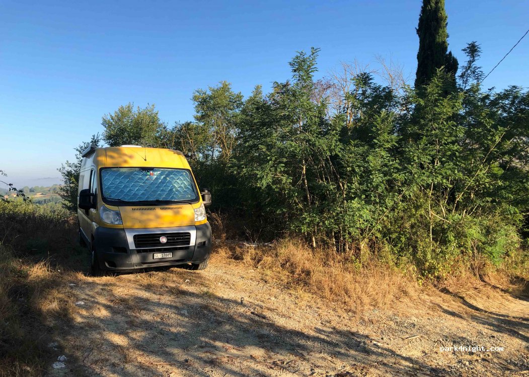 (56037) Palaia - SP11 — foto 3