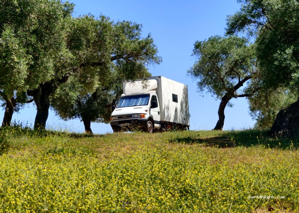 (41410) Carmona - Unnamed Road — foto 4