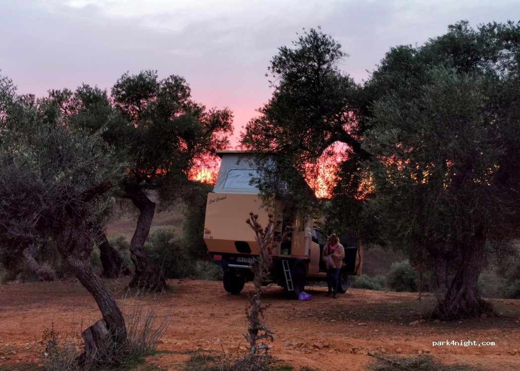 (41410) Carmona - Unnamed Road — foto 5