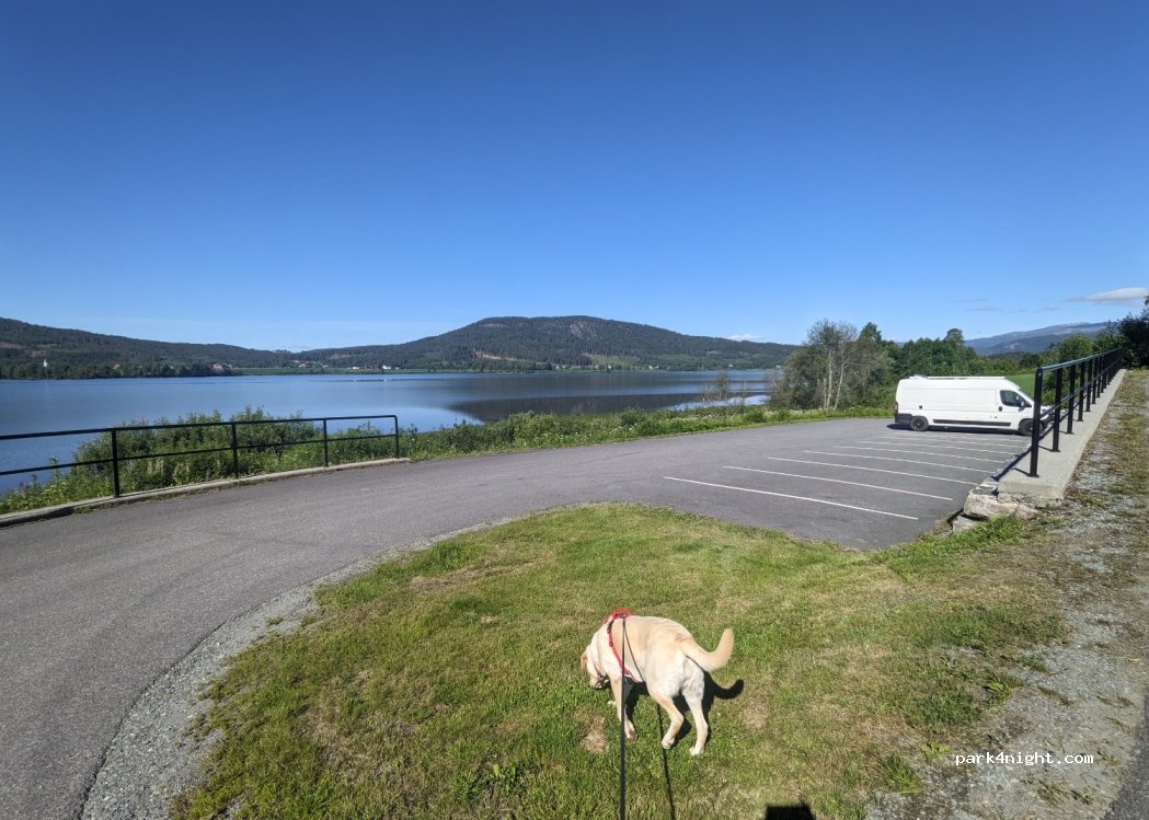 (3535) Krøderen - 9 Primær Fylkesveg 280 — foto 4