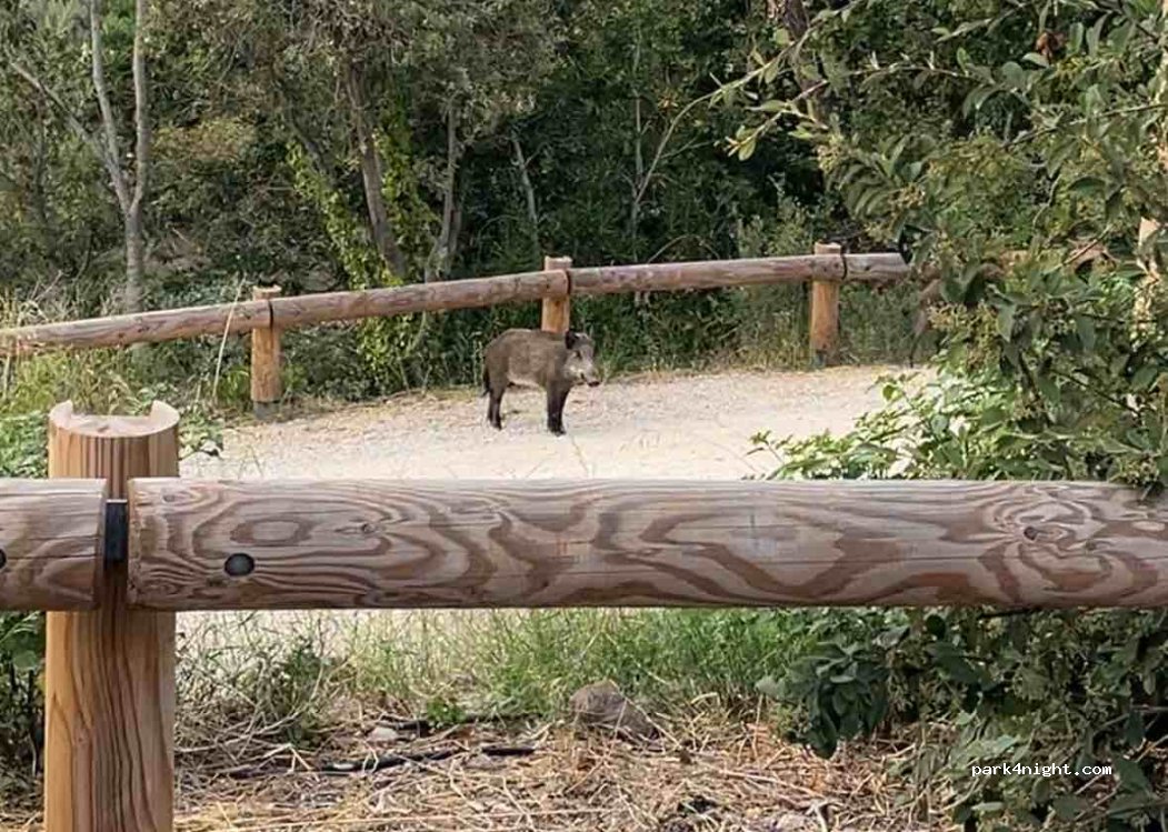 (06590) Théoule-sur-Mer - 32 Chemin du Sanglier — foto 5