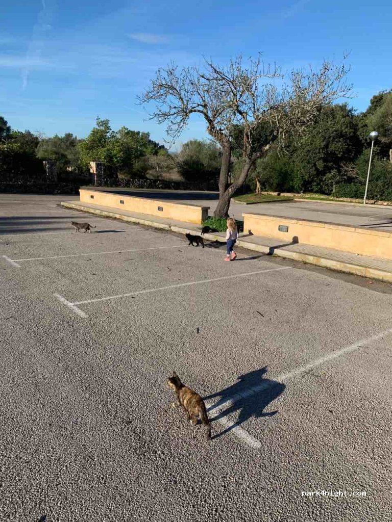 (07144) Costitx - 9 CamÍ de Son Bernat — foto 4