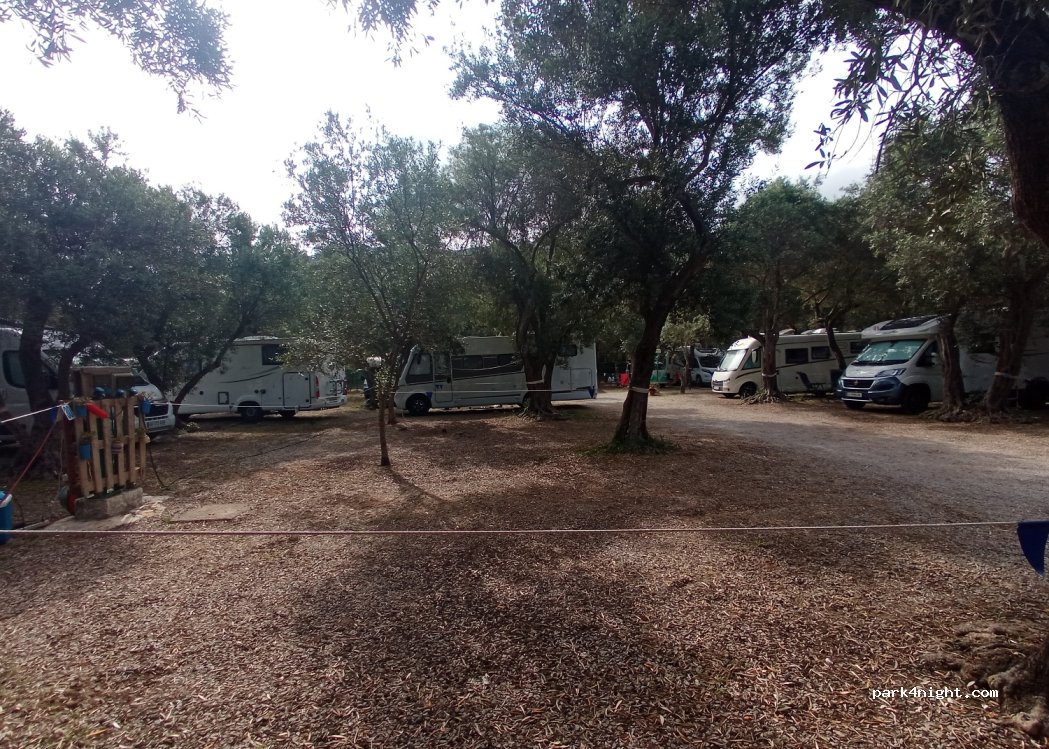 Camping La Playa — foto 4