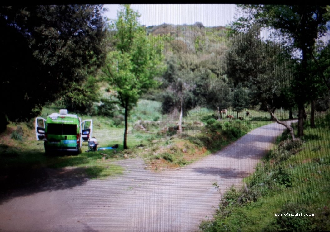 (09010) Fluminimaggiore - Strada per Antas — foto