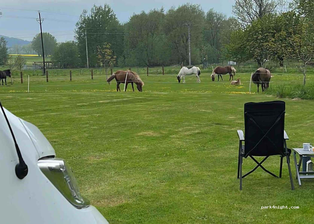 Ludvíkov Horses & Holiday — foto 3