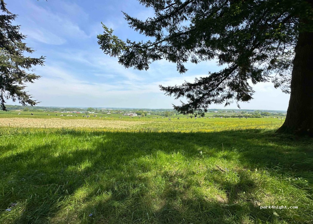 (08290) Marlemont - La Butte — foto 2