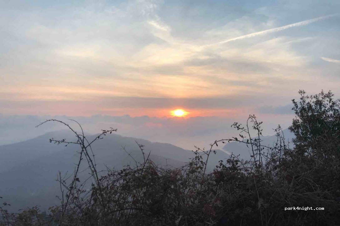 (19015) Levanto - Unnamed Road — foto