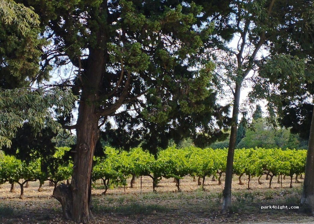 (84470) Châteauneuf-de-Gadagne - 855 Avenue Voltaire Garcin — foto 3