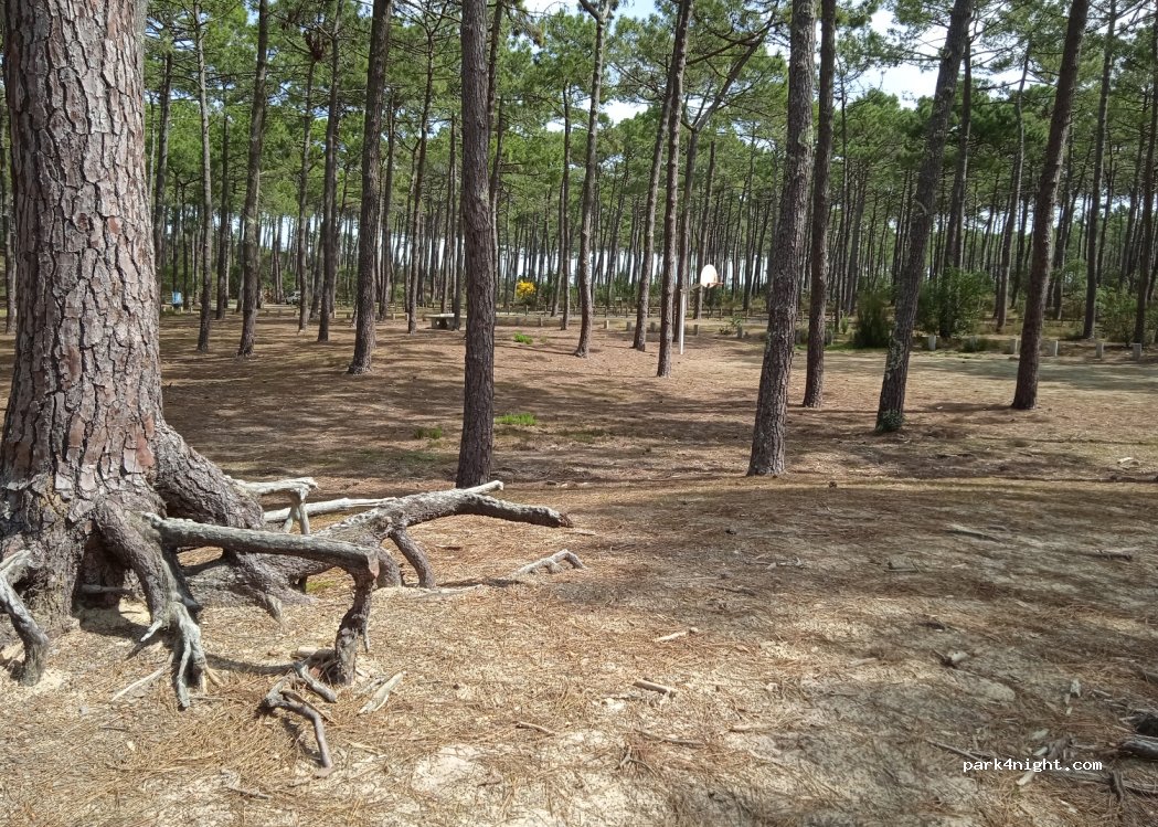 (33121) Carcans - Coben Sud — foto 3