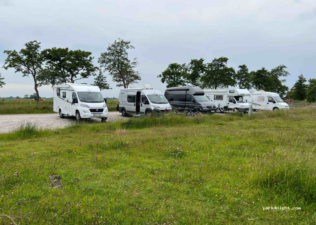 (26434) Wangerland - 2 Jelliestede — foto 2