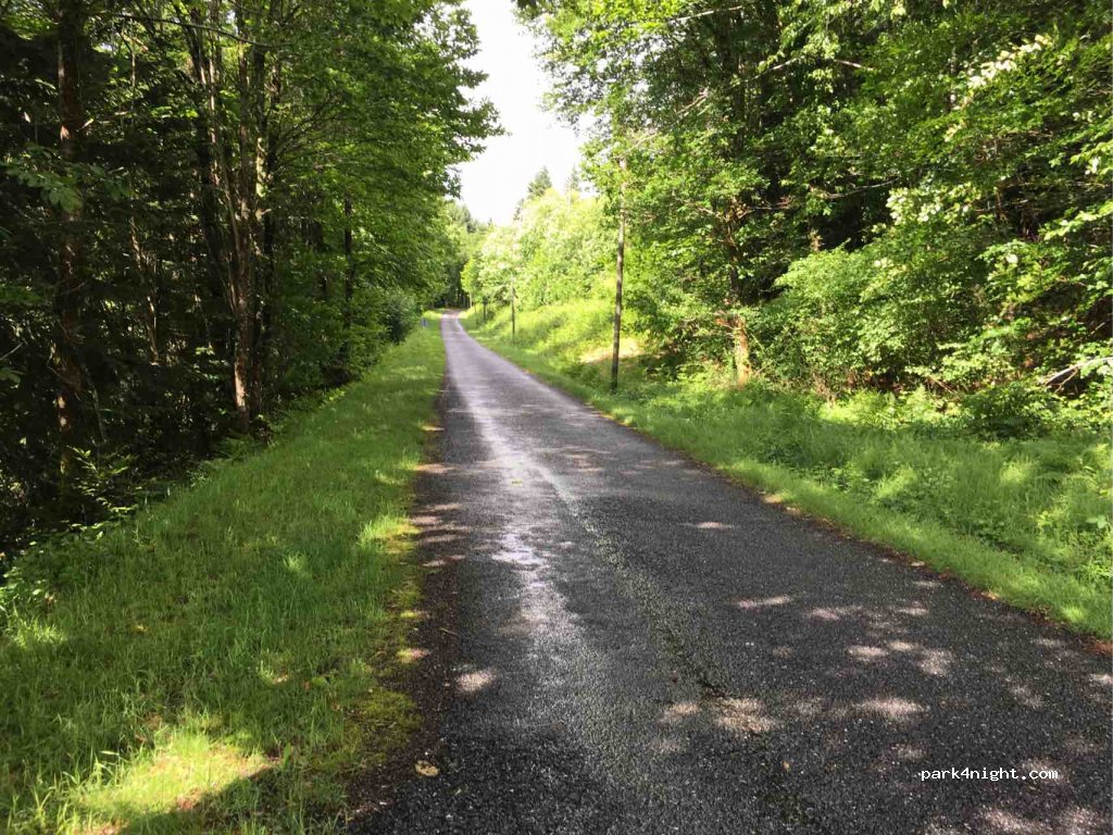 (87120) Eymoutiers - La Forêt Est — foto 4