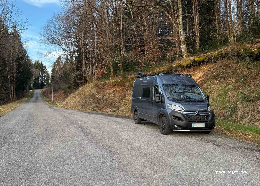 (87120) Eymoutiers - La Forêt Est — foto 5