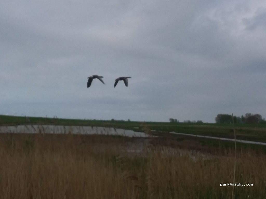 (4328) Burgh-Haamstede - Plompetorenweg — foto 3