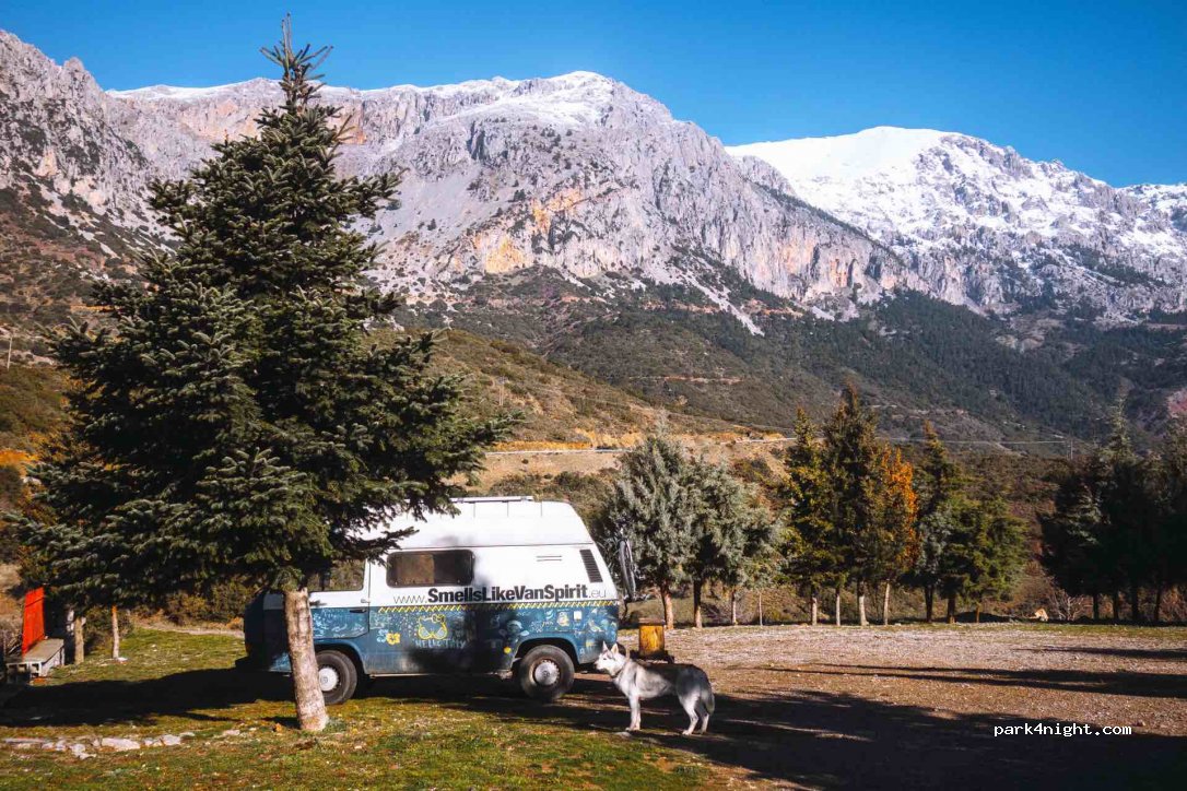 (320 04) Vers Delphe - Ethniki Odos Livadias Amfissas — foto