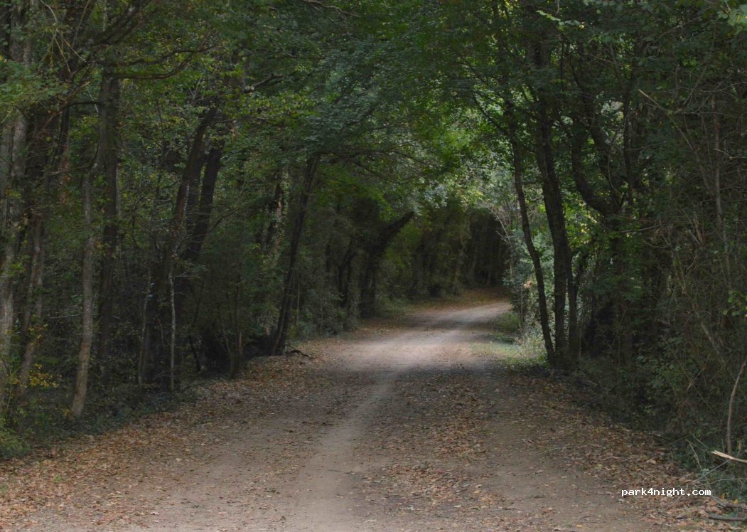 (31770) Colomiers - 56 Chemin de Selery — foto 2