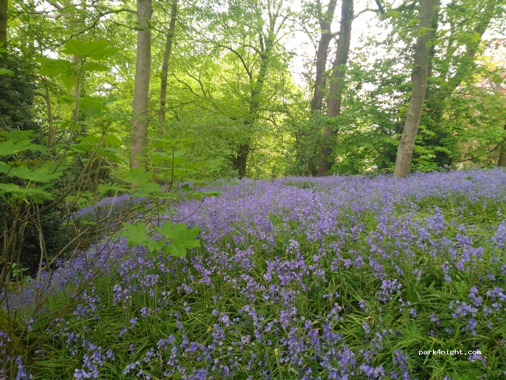La Sablière du Mont Noir — foto