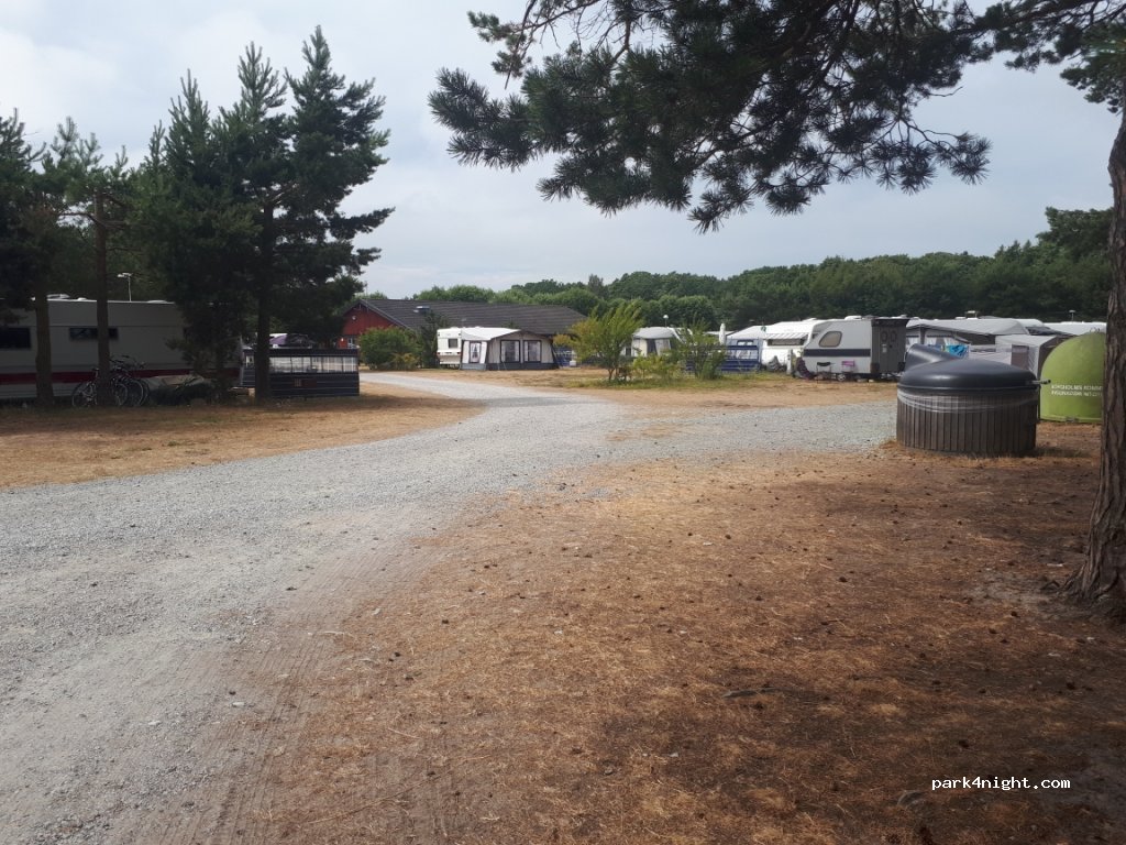 Böda Hamns Camping — foto 2