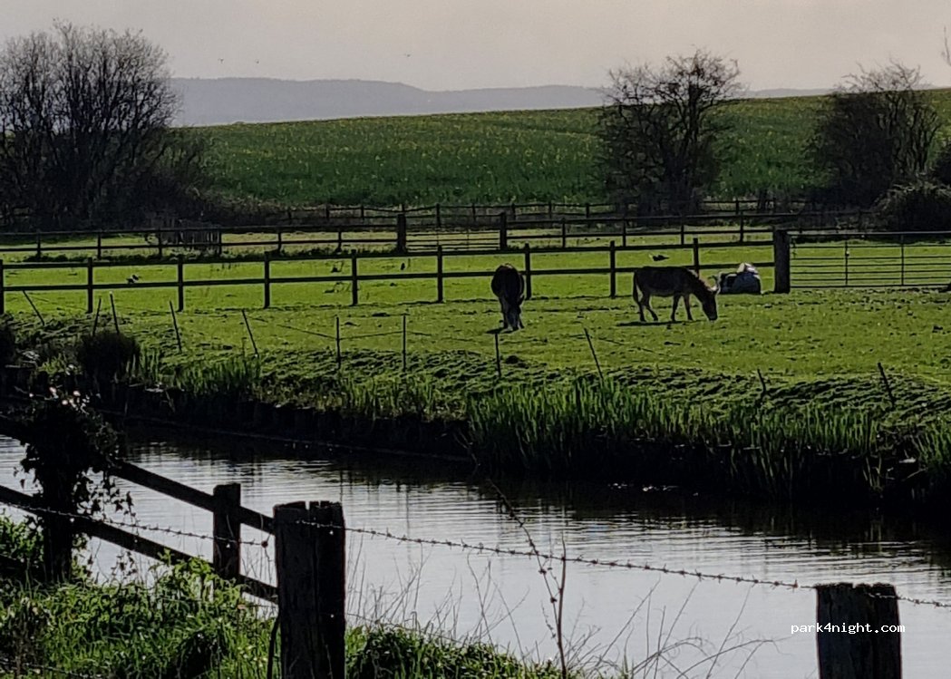 (TA7 0JN) Bridgwater - Stathe Road — foto 2